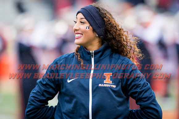 Wisconsin Badgers at Illinois Fighting Illini, Saturday, October 28, 2017 - Marching Illini Photos