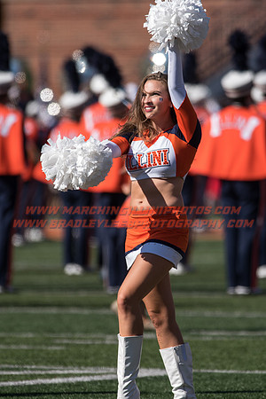 Purdue Boilermakers at Illinois Fighting Illini, Saturday, October 8, 2016 - Marching Illini Photos