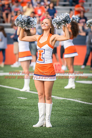 Rutgers Scarlett Knights at Illinois Fighting Illini, Saturday, October 14, 2017 - Marching Illini Photos