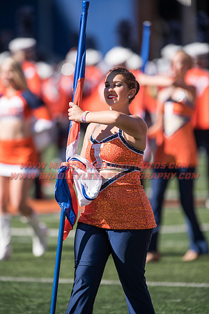 Purdue Boilermakers at Illinois Fighting Illini, Saturday, October 8, 2016 - Marching Illini Photos