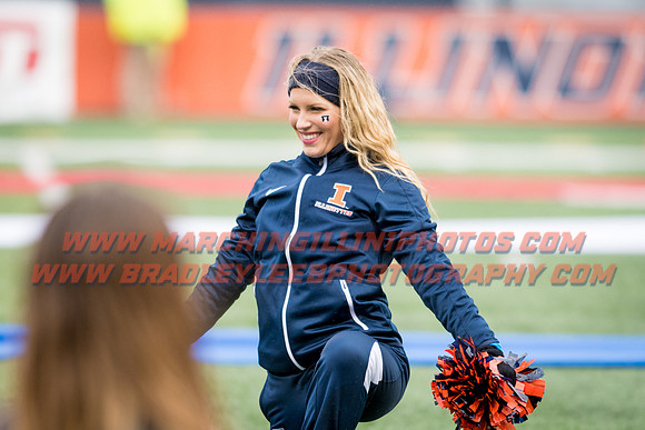 Wisconsin Badgers at Illinois Fighting Illini, Saturday, October 28, 2017 - Marching Illini Photos