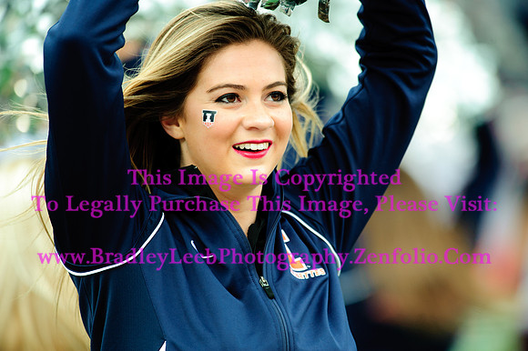 Penn State Nittany Lions at Illinois Fighting Illini, Saturday, November 22, 2014 - Marching Illini Photos