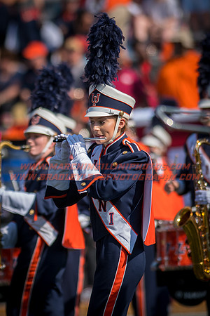 Rutgers Scarlett Knights at Illinois Fighting Illini, Saturday, October 14, 2017 - Marching Illini Photos