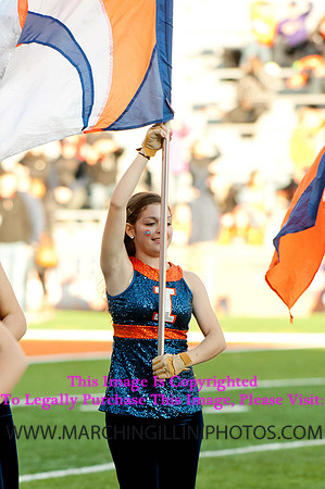 Northwestern Wildcats at Illinois Fighting Illini, Saturday, November 30, 2013 - Marching Illini Photos