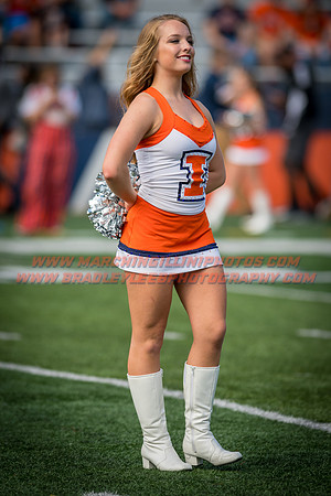 Rutgers Scarlett Knights at Illinois Fighting Illini, Saturday, October 14, 2017 - Marching Illini Photos