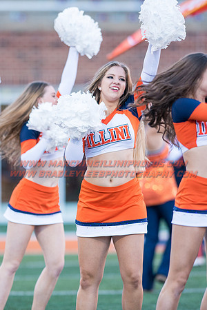 Purdue Boilermakers at Illinois Fighting Illini, Saturday, October 8, 2016 - Marching Illini Photos