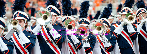 Southern Illinois University Salukis at Illinois Fighting Illini, Saturday, August 31, 2013 - Marching Illini Photos
