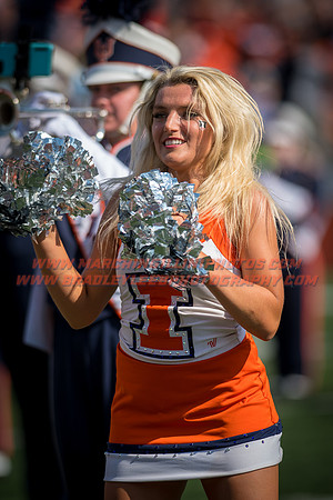 Rutgers Scarlett Knights at Illinois Fighting Illini, Saturday, October 14, 2017 - Marching Illini Photos