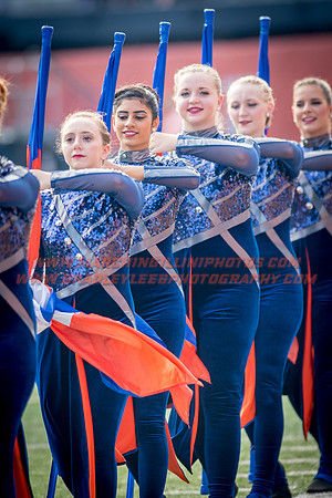 Rutgers Scarlett Knights at Illinois Fighting Illini, Saturday, October 14, 2017 - Marching Illini Photos
