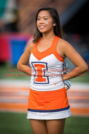Rutgers Scarlett Knights at Illinois Fighting Illini, Saturday, October 14, 2017 - Marching Illini Photos
