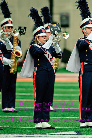 Penn State Nittany Lions at Illinois Fighting Illini, Saturday, November 22, 2014 - Marching Illini Photos