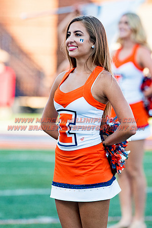 Western Michigan Broncos at Illinois Fighting Illini, Saturday, September 17, 2016 - Marching Illini Photos