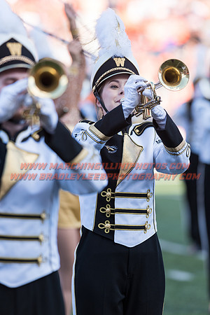 Western Michigan Broncos at Illinois Fighting Illini, Saturday, September 17, 2016 - Marching Illini Photos