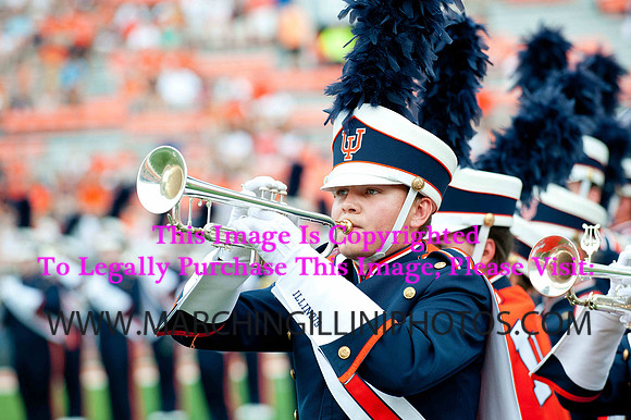 Southern Illinois University Salukis at Illinois Fighting Illini, Saturday, August 31, 2013 - Marching Illini Photos