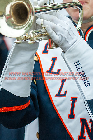 Wisconsin at Illinois, Saturday, Oct. 24, 2015 - Marching Illini Photos