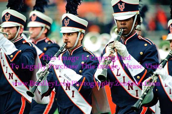 Penn State Nittany Lions at Illinois Fighting Illini, Saturday, November 22, 2014 - Marching Illini Photos