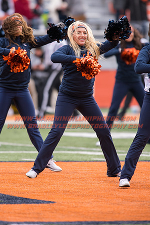 Iowa at Illinois, Saturday, November 19, 2016 - Marching Illini Photos
