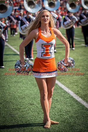Rutgers Scarlett Knights at Illinois Fighting Illini, Saturday, October 14, 2017 - Marching Illini Photos