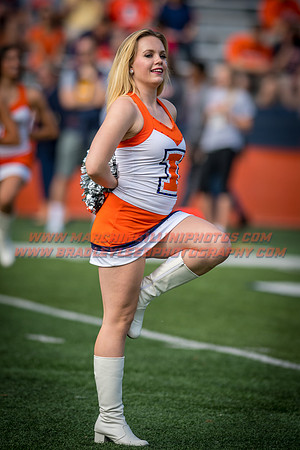 Rutgers Scarlett Knights at Illinois Fighting Illini, Saturday, October 14, 2017 - Marching Illini Photos