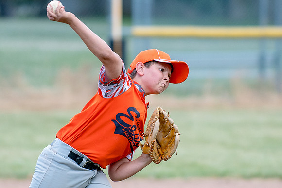 Champaign East Little League All-Stars (Borders)June 25, 2017, www.BradleyLeebPhotography.com