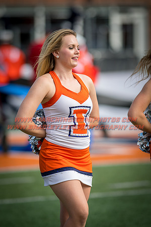 Rutgers Scarlett Knights at Illinois Fighting Illini, Saturday, October 14, 2017 - Marching Illini Photos