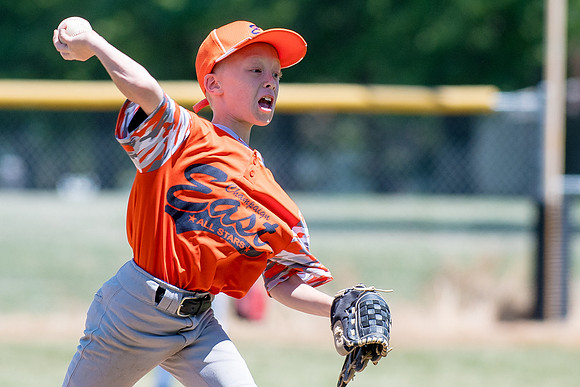 Champaign East Little League All-Stars (Borders)June 25, 2017, www.BradleyLeebPhotography.com