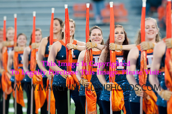 Northwestern Wildcats at Illinois Fighting Illini, Saturday, November 30, 2013 - Marching Illini Photos
