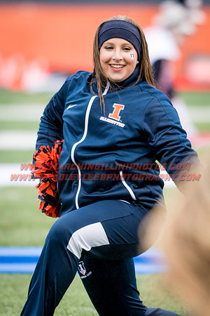 Wisconsin Badgers at Illinois Fighting Illini, Saturday, October 28, 2017 - Marching Illini Photos