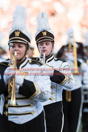 Western Michigan Broncos at Illinois Fighting Illini, Saturday, September 17, 2016 - Marching Illini Photos
