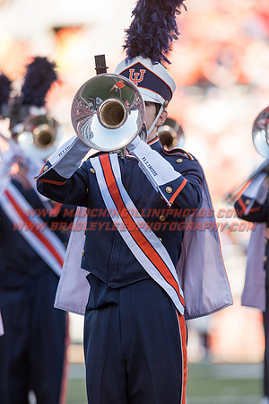 Purdue Boilermakers at Illinois Fighting Illini, Saturday, October 8, 2016 - Marching Illini Photos