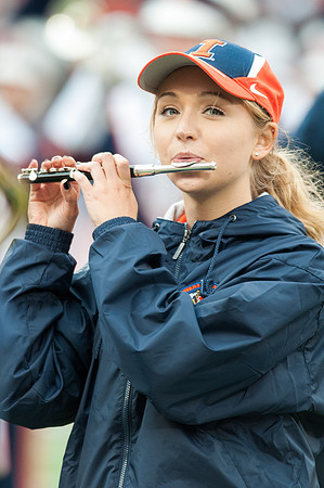 Wisconsin at Illinois, Saturday, Oct. 24, 2015 - Marching Illini Photos