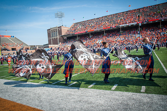 Rutgers Scarlett Knights at Illinois Fighting Illini, Saturday, October 14, 2017 - Marching Illini Photos