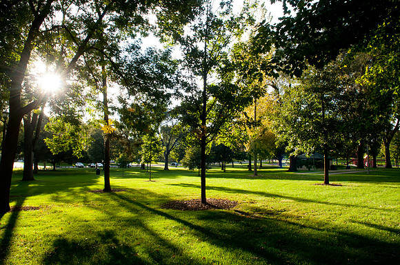 Champaign Chamber of Commerce Community Link MagazineBradley Leeb PhotographyBradleyLeebPhotography.comBradleyLeebPhotography@gmail.com217.721.9190