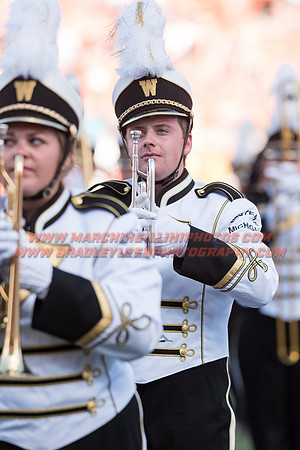 Western Michigan Broncos at Illinois Fighting Illini, Saturday, September 17, 2016 - Marching Illini Photos