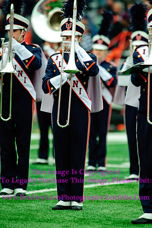 Penn State Nittany Lions at Illinois Fighting Illini, Saturday, November 22, 2014 - Marching Illini Photos