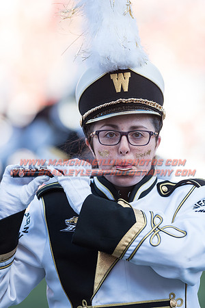 Western Michigan Broncos at Illinois Fighting Illini, Saturday, September 17, 2016 - Marching Illini Photos