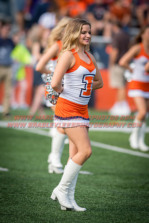 Rutgers Scarlett Knights at Illinois Fighting Illini, Saturday, October 14, 2017 - Marching Illini Photos