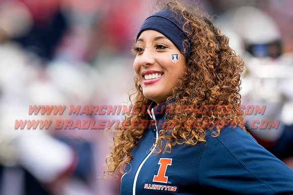 Wisconsin Badgers at Illinois Fighting Illini, Saturday, October 28, 2017 - Marching Illini Photos