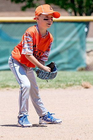 Champaign East Little League All-Stars (Borders)June 25, 2017, www.BradleyLeebPhotography.com